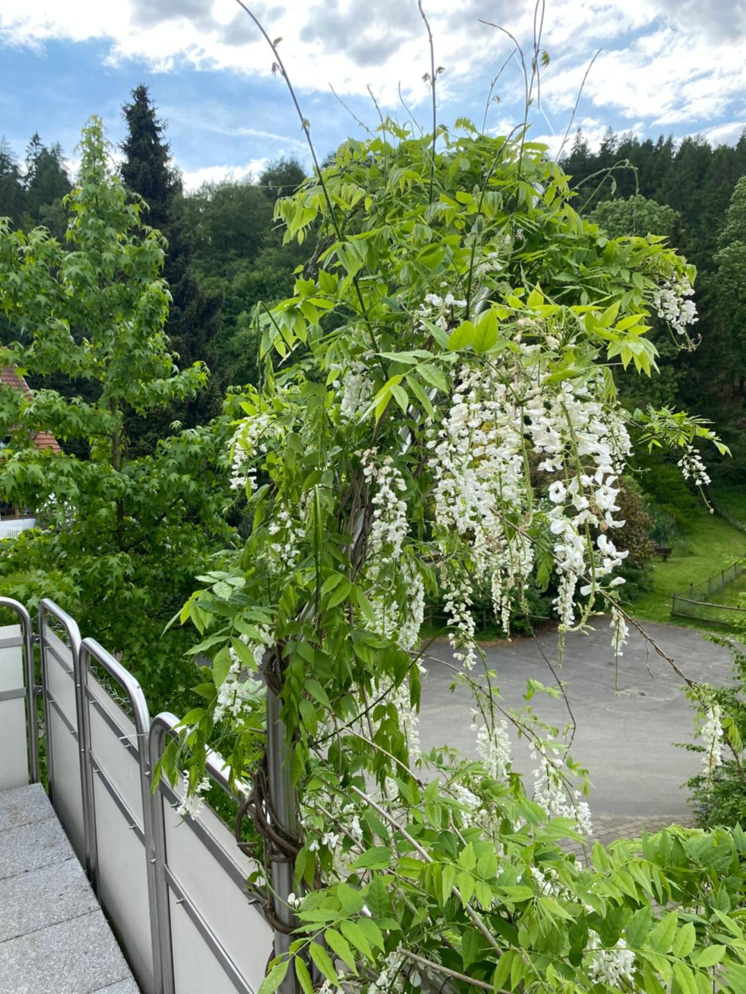 Ferienhof Kroeger Билефелд Екстериор снимка